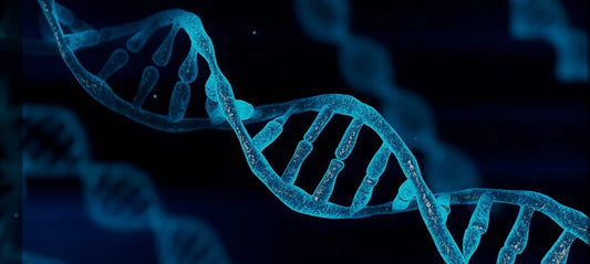 CPD Accredited Glutathione IM Injections Online Course