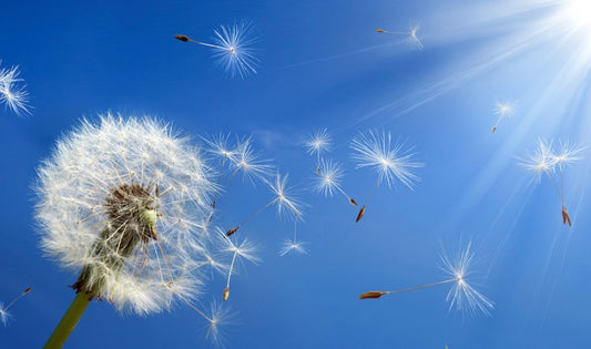 Anti wrinkle toxin 3 areas