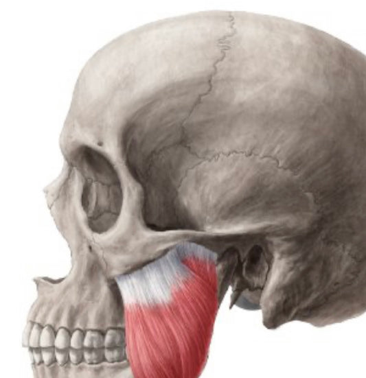 Online advanced masterclass covering the following treatments:&nbsp;

Masseter, gummy smile, lip flip &amp; bunny lines.&nbsp;

CPD accredited course